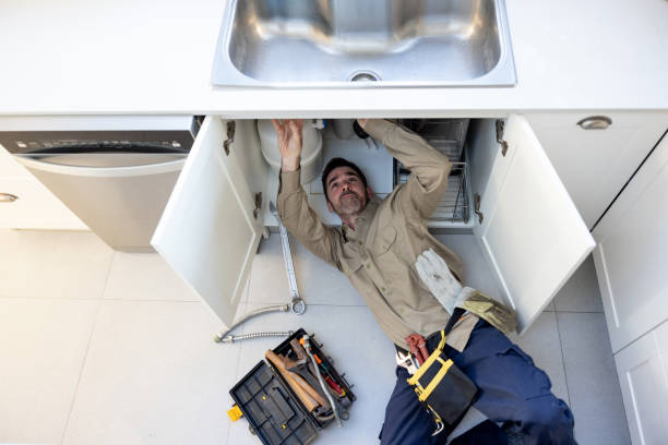 Best Commercial Plumbing Services  in Long Grove, IA