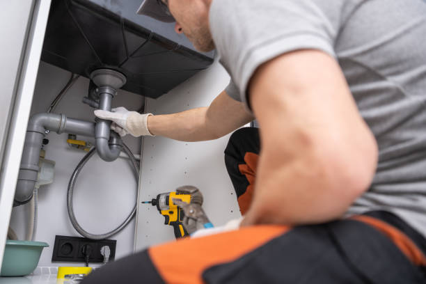 Best Plumbing Services Near Me  in Long Grove, IA